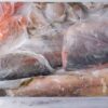 Frozen fish