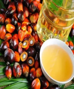 Palm Oil