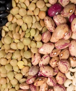 Beans